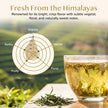 VAHDAM, Himalayan Green Tea Leaves (100g | 50+ Cups) Non GMO, Gluten Free | High Elevation Grown Green Tea Leaves From Himalayas | Pure Unblended Single Origin Green Loose Leaf Tea | Vacuum Sealed 🍁 All In One Marketplace Canada