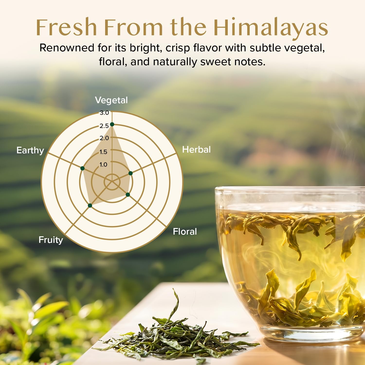 VAHDAM, Himalayan Green Tea Leaves (100g | 50+ Cups) Non GMO, Gluten Free | High Elevation Grown Green Tea Leaves From Himalayas | Pure Unblended Single Origin Green Loose Leaf Tea | Vacuum Sealed 🍁 All In One Marketplace Canada