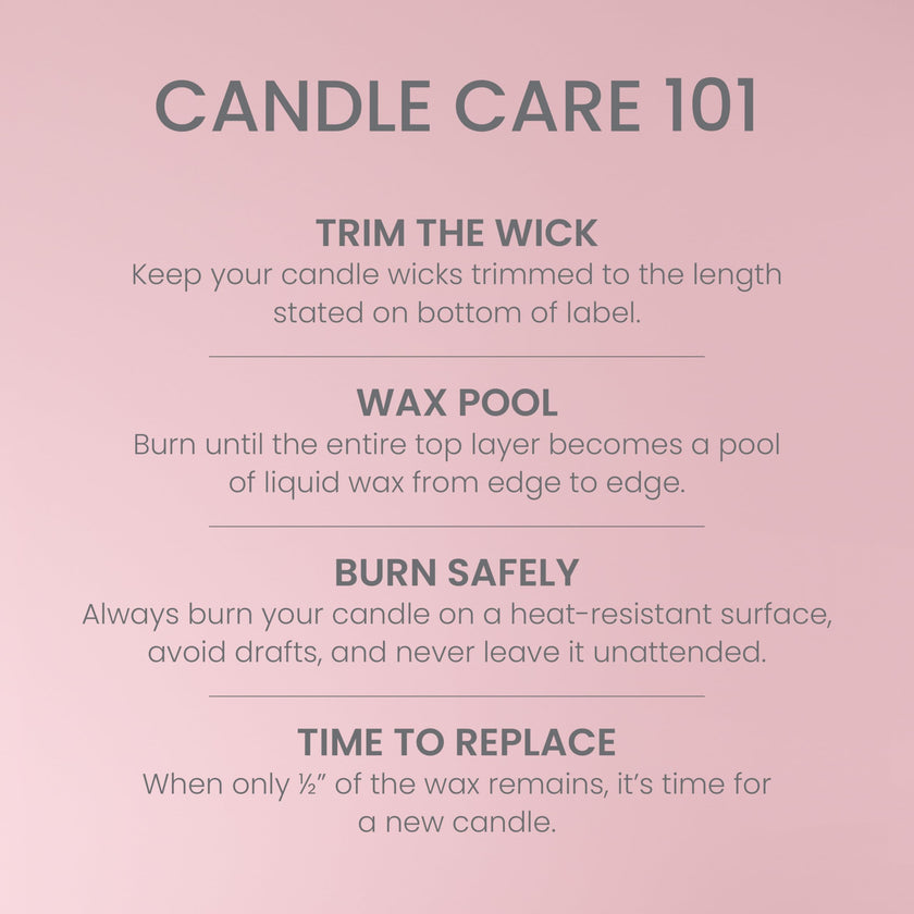 Yankee Candle 3 Wick Candle Jar, Scented Candle with up to 40 Hours of Burn Time, Premium Plant Wax Blend for Consistent Long Lasting Scent from First to Last Burn, Vanilla Cupcake 🍁 All In One Marketplace Canada