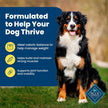Blue Buffalo Life Protection Formula Healthy Weight Adult Dry Dog Food, Chicken & Brown Rice, Supports Immunity with Antioxidant-Rich LifeSource Bits, Promotes Lean Muscles, 11.7kg/26 lbs 🍁 All In One Marketplace Canada