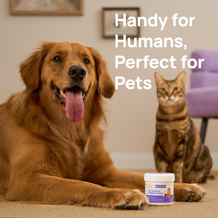 HICC PET Teeth Finger Wipes for Dogs & Cats, Vet-Recommended Teeth Cleaning Wipes, Removes Bad Breath, Plaque & Tartar, Fresh Breath Oral Care, Toothbrush & Toothpaste Alternative, Unscented 🍁 All In One Marketplace Canada