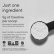 Sports Research® Creatine Monohydrate - Pure Micronized Creatine Monohydrate Powder - Improves strength, power, and performance for Women and Men | Non-GMO 100 Servings 🍁 All In One Marketplace Canada