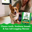 GREENIES Dog Treats Original Petite Natural Dental Care, (90 Treats) 54oz. Pack 🍁 All In One Marketplace Canada