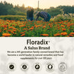 Salus Floradix Liquid Iron and Vitamins | Herbal Iron Supplement for Women, Men, and Children | Vegetarian, Dairy-Free & Non-GMO (250ml) 🍁 All In One Marketplace Canada