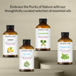 Majestic Pure Eucalyptus Essential Oil - Huge 118 ml - 100% Pure and Natural Oil for Soap Making Scent- Premium Grade with Glass Dropper 🍁 All In One Marketplace Canada