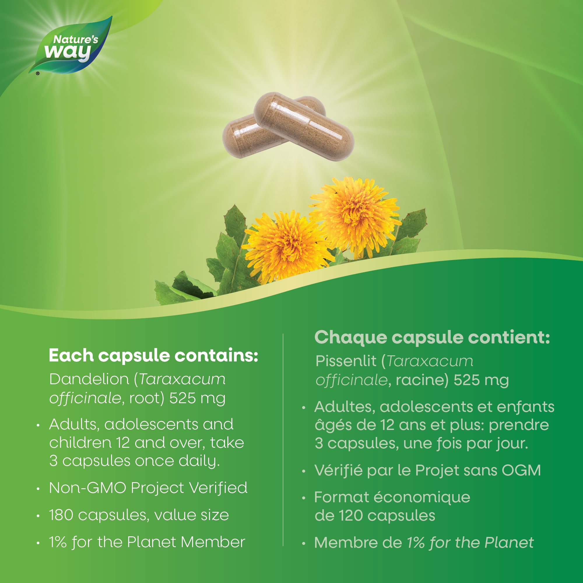 Nature's Way Dandelion Root - Digestion Supplement – Diuretic Laxative - Non-GMO Verified - 180 Vegetarian Capsules, Value Size 🍁 All In One Marketplace Canada