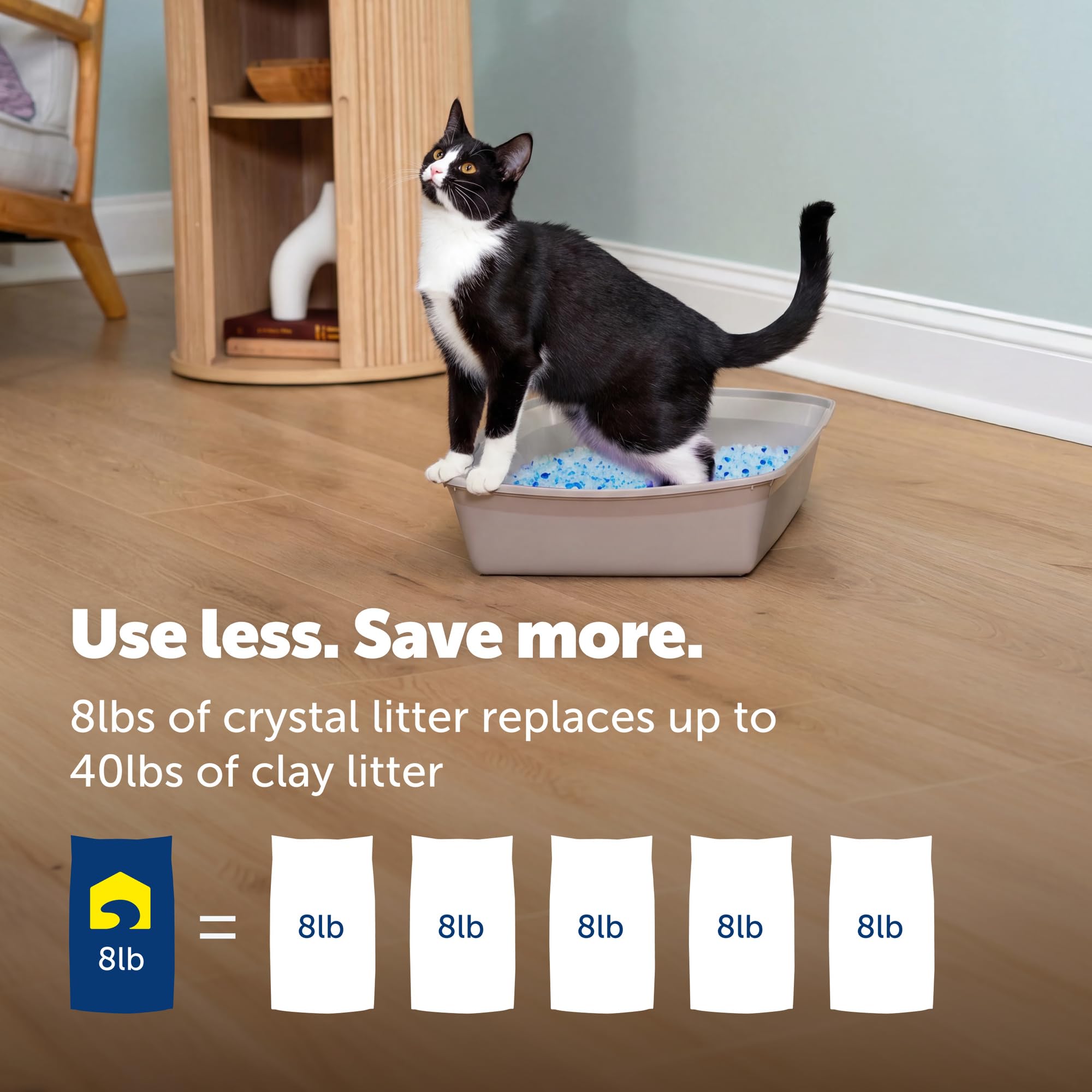 ScoopFree Premium Fresh Scent Crystal Litter, Superior Odor Control, Absorbs 5X Faster, Low Tracking for Less Mess, Lasts up to 2 Months, Lightly Scented (8 lb Bag) 🍁 All In One Marketplace Canada