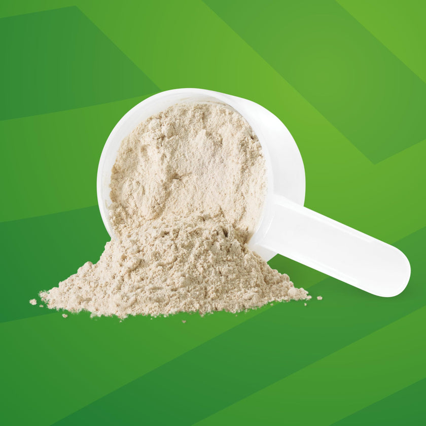 Iron Vegan Sprouted Protein, French Vanilla Flavour, 1kg | Vegan, plant-based, organic, gluten-free Brown (Pack of 1) 🍁 All In One Marketplace Canada