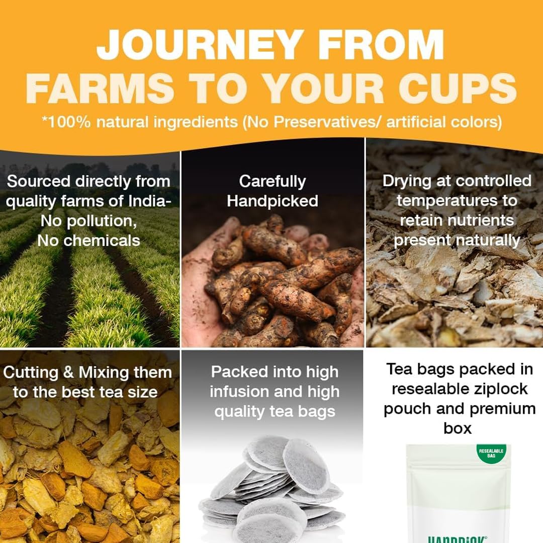 HANDPICK, Turmeric Ginger Tea, 100 Eco-Conscious Tea Bags | Caffeine Free, Gluten Free | 100% Pure Herbal Blend - Savory & Spicy | Curcumin | Packed in Eco-Friendly Tea Bags 🍁 All In One Marketplace Canada