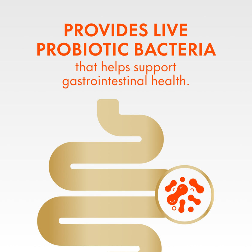 Align Probiotic Gummies for Women & Men, Helps Support Gastrointestinal Health, Made With Naturally Sourced Fruit Flavors, Strawberry Flavour, 60 Gummies 🍁 All In One Marketplace Canada