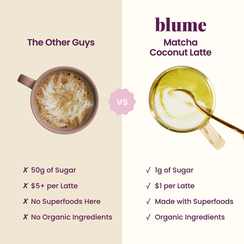Blume Matcha Coconut Superfood Latte – Organic Matcha Green Tea from Shizuoka Japan, Moringa Leaf & Coconut Milk Latte Mix, Caffeine & L-Theanine for Energy & Focus, Zero Sugar, Vegan - 25 Servings 🍁 All In One Marketplace Canada