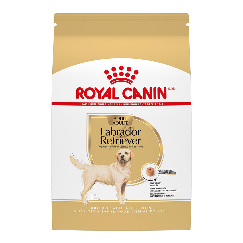 Royal Canin Labrador Retriever Adult Dry Dog Food, 30 lb bag 🍁 All In One Marketplace Canada
