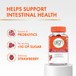 Align Probiotic Gummies for Women & Men, Helps Support Gastrointestinal Health, Made With Naturally Sourced Fruit Flavors, Strawberry Flavour, 60 Gummies 🍁 All In One Marketplace Canada