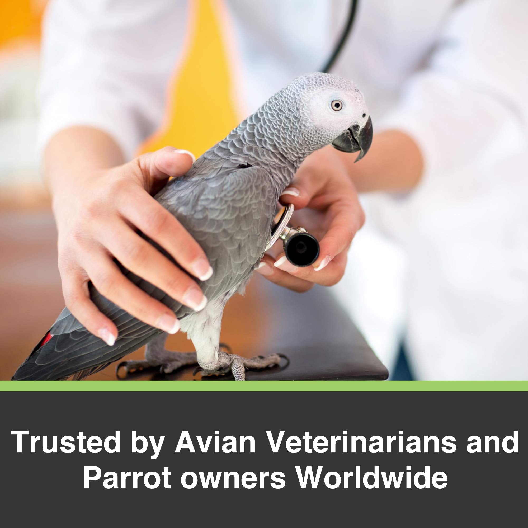 Tropican Lifetime Formula Granules for Parrots - 1.8 kg (4 lb) 🍁 All In One Marketplace Canada