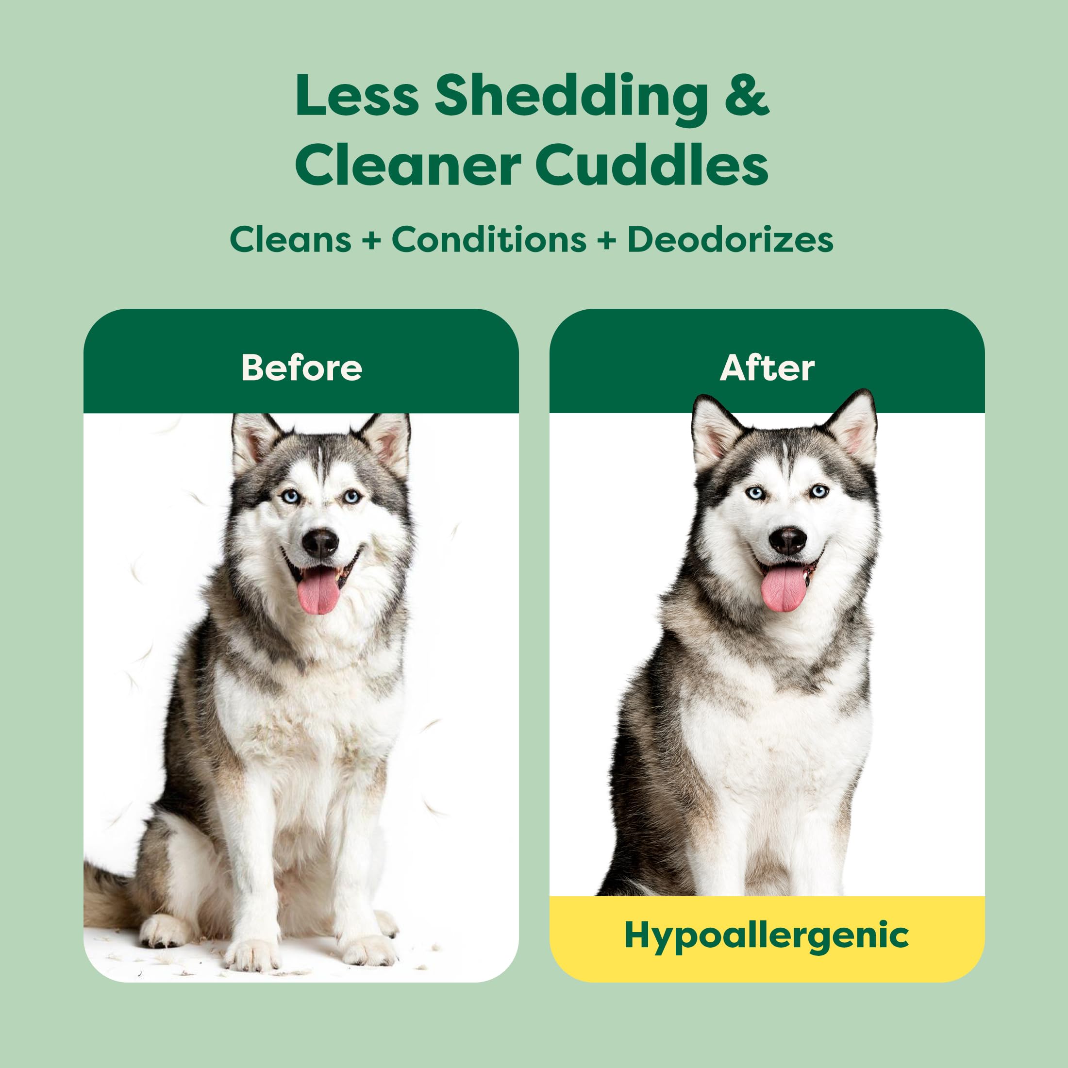 Earth Rated (A Canadian Company), 3-in-1 Deshedding Dog Shampoo and Conditioner, Deodorizing Oatmeal Shampoos for Dogs and Puppies, Great for Smelly Pets, White Tea and Basil Scent, 473 ml 🍁 All In One Marketplace Canada