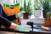 Miracle-Gro Cactus Palm & Succulant Mix 8.8L, 2-Pack | Fast-Draining Soil for Cacti, Palms & Succulents | Feeds 6 Months 🍁 All In One Marketplace Canada