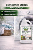 Globco Foods Pure White Vinegar 1L - Allergen-Free & Gluten-Free - No Additives - Ideal for Cooking & Cleaning - Multi-Purpose Cleaner for Kitchen, Bathroom & Laundry - Premium Quality- Made in Canada 🍁 All In One Marketplace Canada