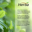 Herba Turmeric Supplements for Inflammation with Black Pepper and Ginger - 180 Capsules | 5,555mg Equiv. with 95% Turmeric Curcumin Supplements with Black Pepper | Joint Pain Relief | Made in Canada 🍁 All In One Marketplace Canada