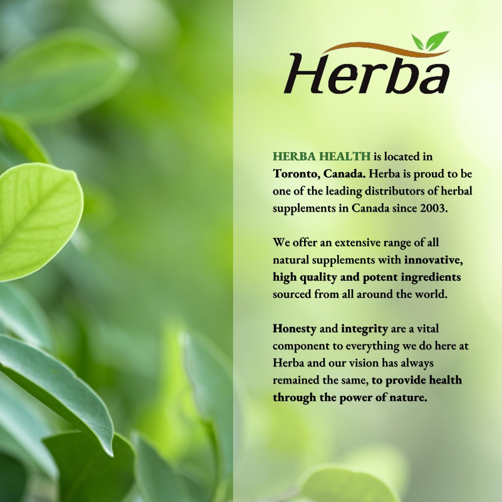 Herba Turmeric Supplements for Inflammation with Black Pepper and Ginger - 180 Capsules | 5,555mg Equiv. with 95% Turmeric Curcumin Supplements with Black Pepper | Joint Pain Relief | Made in Canada 🍁 All In One Marketplace Canada