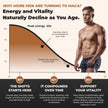 Nutratology® Maca for Men | Canadian Made | Helps Increase Stamina & Energy | Formulated with a 6:1 Extract & 33:1 Fenugreek Extract | Maca Root With Fenugreek Supplement for Men | 60 Capsules 🍁 All In One Marketplace Canada