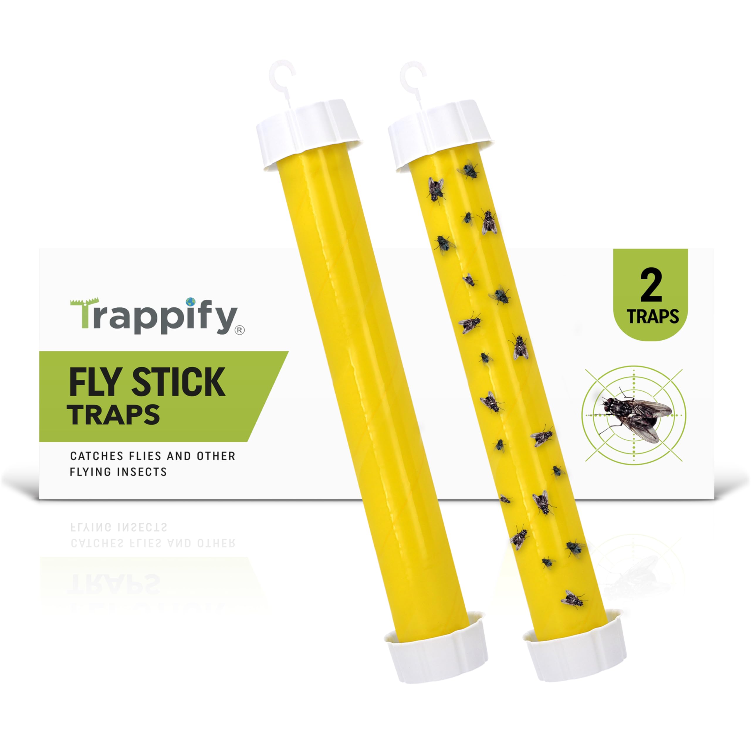 Trappify Hanging Fly Traps Outdoor: Fruit Fly Traps for Indoors | Fly Catcher, Gnat, Mosquito, & Flying Insect Catchers for Inside Home - Disposable Sticky Fly Trap for Indoor House Pest Control (2) 🍁 All In One Marketplace Canada