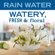Mrs. Meyer's Clean Day Liquid Hand Soap, Rain Water, Cruelty Free & Biodegradable Hand Wash Formula Made with Essential Oils, 370 ml Bottles, 4 Pack 🍁 All In One Marketplace Canada