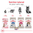Royal Canin Appetite Control Spayed/Neutered 12+ Dry Adult Cat Food, 7 lb Bag 🍁 All In One Marketplace Canada