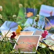 Title: Dixit (Bilingual French/English Version) - A Game by Asmodee 🍁 All In One Marketplace Canada