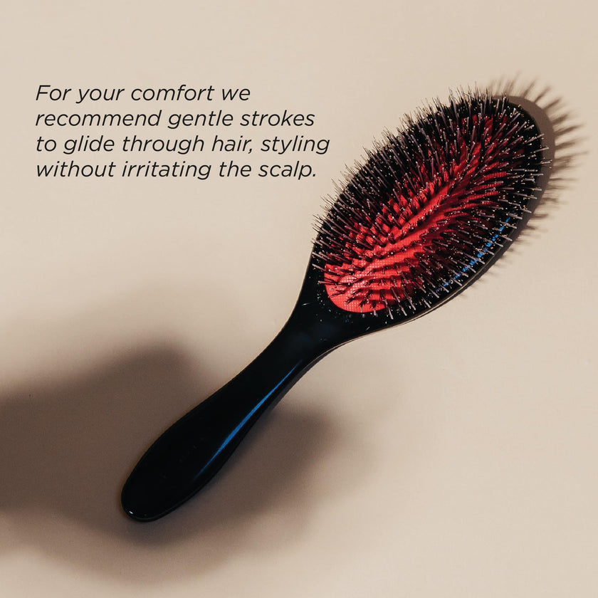 Denman Cushion Hair Brush (Medium) with Soft Nylon Quill Boar Bristles - Porcupine Style for Grooming, Detangling, Straightening, Blowdrying and Refreshing Hair – Black, P081M 🍁 All In One Marketplace Canada