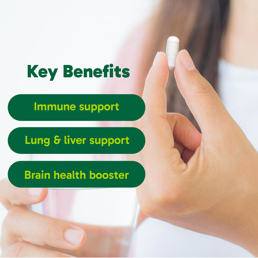 Organika Canadian-Made NAC (N-Acetyl-L-Cysteine) 500mg- Supports Antioxidant Glutathione Levels, Immune System Support, Liver and Detox Support- 90 caps 🍁 All In One Marketplace Canada
