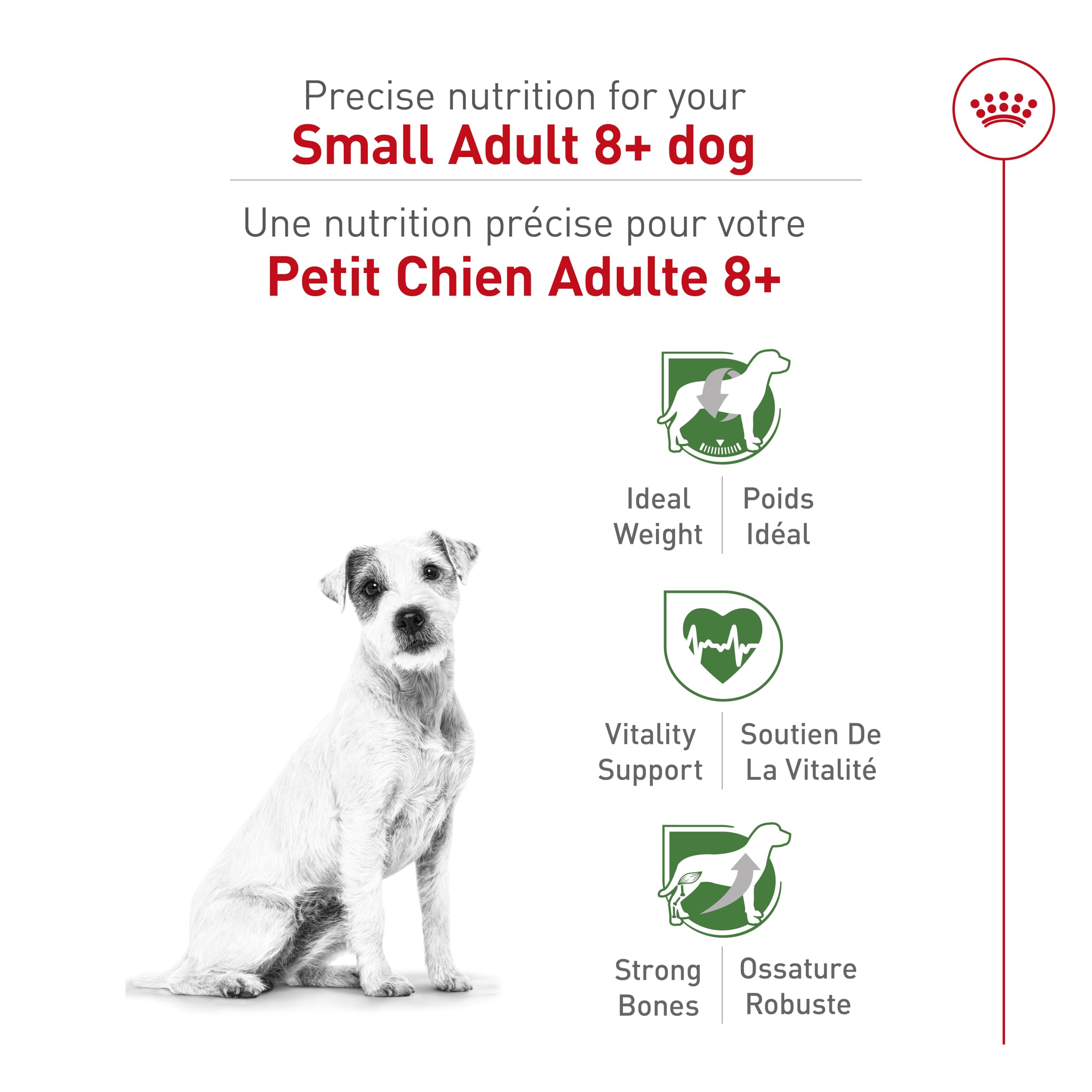 Royal Canin Small Adult 8+ Dry Dog Food, 2.5 lb bag 🍁 All In One Marketplace Canada