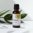 THORNE - Vitamin D/K2 Liquid (Metered Dispenser) - Dietary Supplement with Vitamins D3 and K2 to Support Healthy Bones and Muscles - 1 Fluid Ounce (30 mL) 🍁 All In One Marketplace Canada