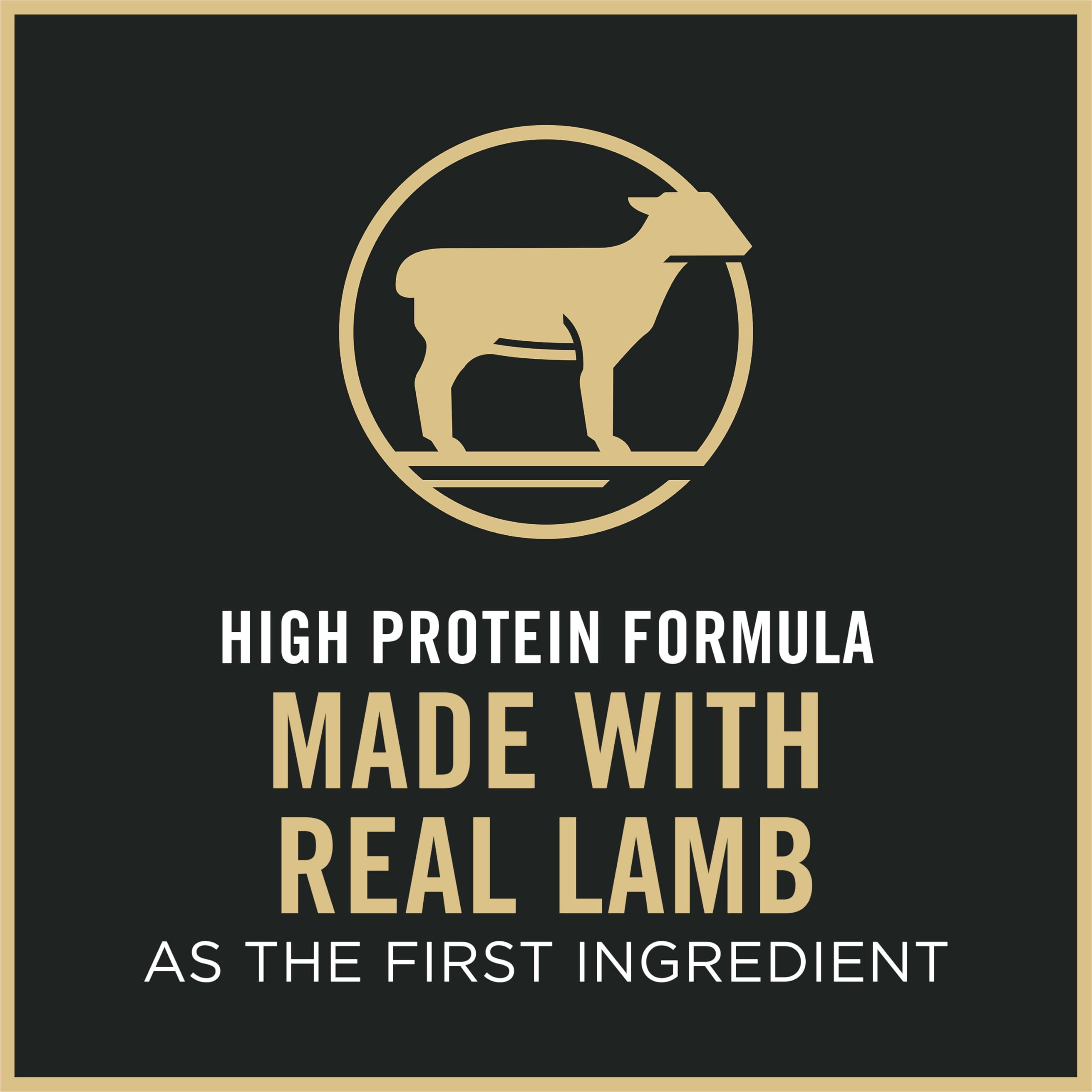 Purina Pro Plan Dry Cat Food Focus, Adult Sensitive Skin/Stomach Lamb and Rice Formula, 16-Pound Bag, Pack of 1 🍁 All In One Marketplace Canada