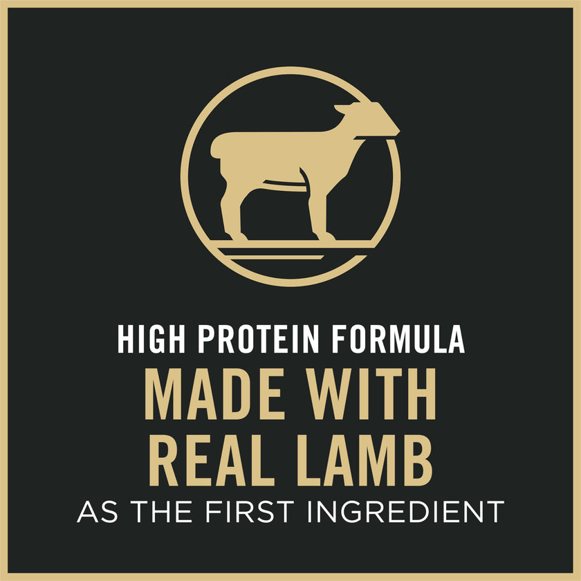 Purina Pro Plan Dry Cat Food Focus, Adult Sensitive Skin/Stomach Lamb and Rice Formula, 16-Pound Bag, Pack of 1 🍁 All In One Marketplace Canada