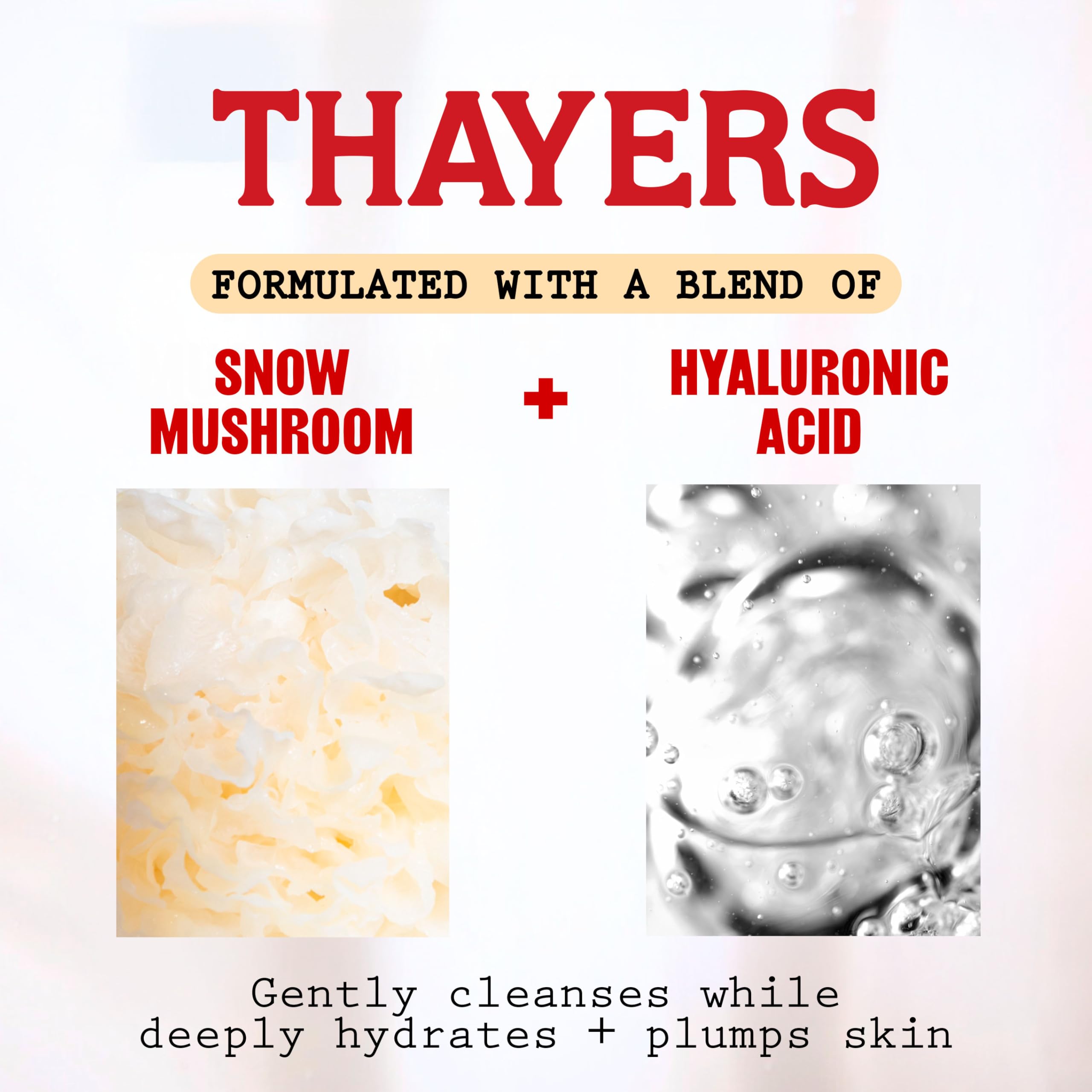 THAYERS Milky Hydrating Face Cleanser with Snow Mushroom and Hyaluronic Acid, Dermatologist Recommended Gentle Facial Wash and Hydrating Skincare for Dry and Sensitive Skin, Paraben Free, 8 FL Oz 🍁 All In One Marketplace Canada