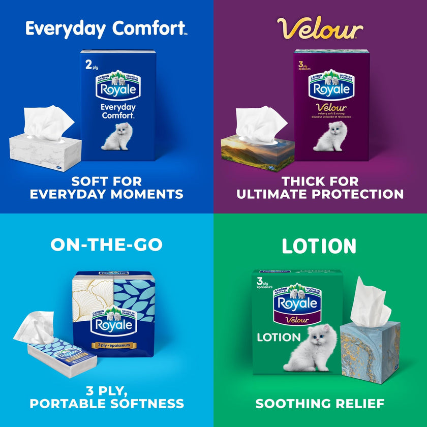 Royale Everyday Comfort 2 Ply Facial Tissue, 24 Tissue Boxes, 100 Tissues per Box 🍁 All In One Marketplace Canada