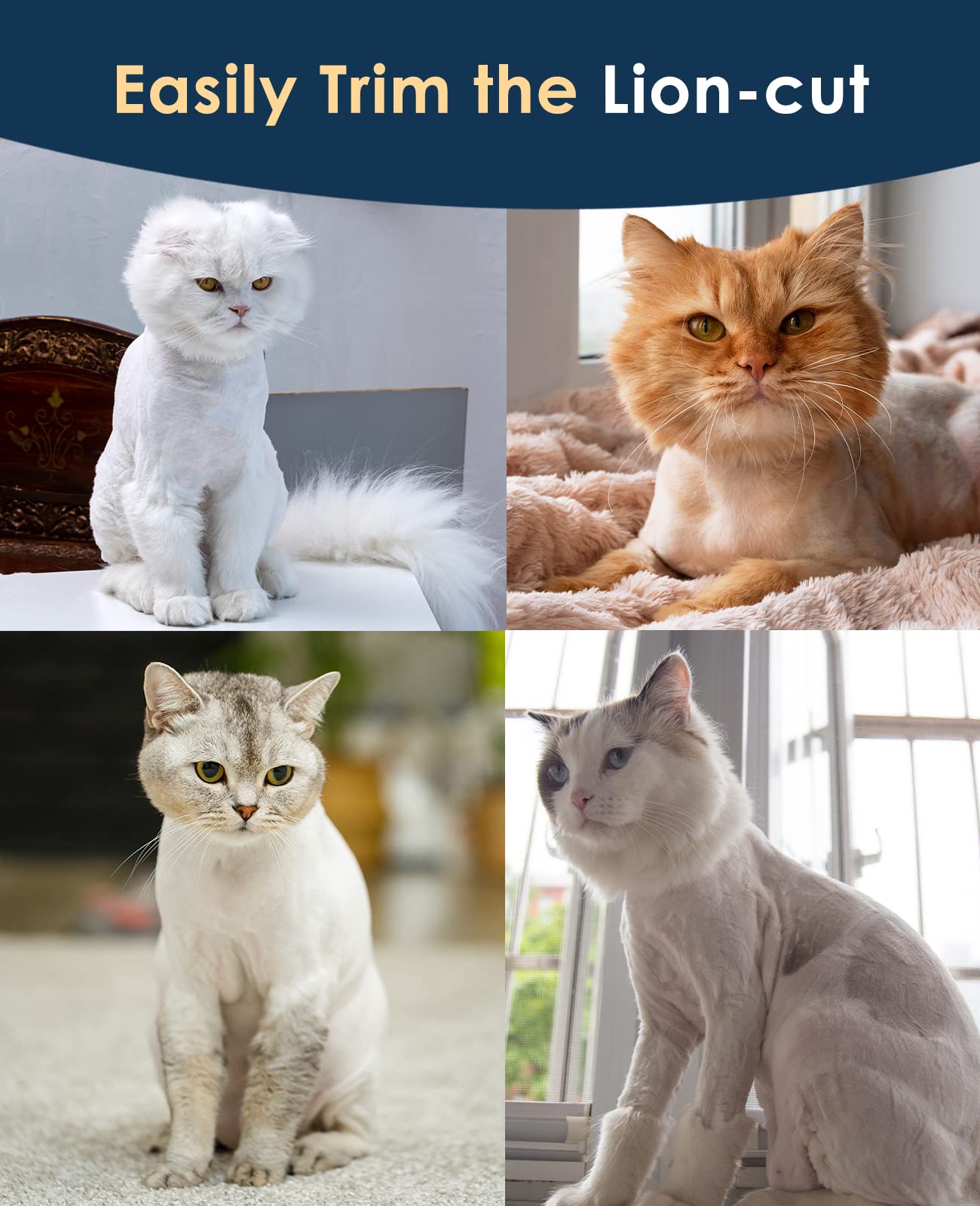 oneisall Quiet Cat Clippers for Matted & Long Hair, 2-Speed Cordless Pet Shaver Grooming Kit for Cats, Small Dogs & Animals (Blue) 🍁 All In One Marketplace Canada