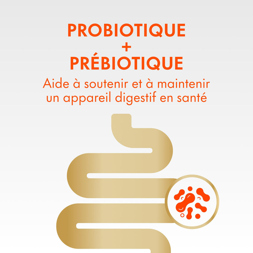 Align DUALBIOTIC PREbiotic + PRObiotic Gummies for Women & Men, Helps Support a Healthy Digestive System, Made With Naturally Fruit Flavours, 60 Count 🍁 All In One Marketplace Canada