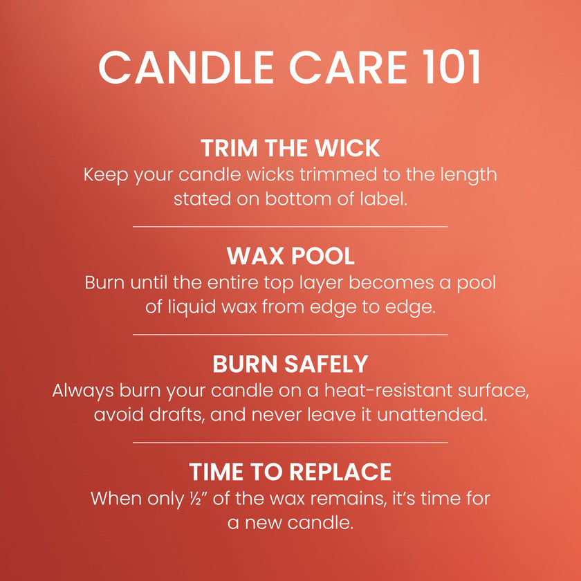 Yankee Candle Large Jar Scented Candle with up to 150 Hour Burn Time, Premium Plant Wax Blend for Cleaner Consistent Burn and Room Filling Fragrance, 22 oz, Spiced Pumpkin 🍁 All In One Marketplace Canada