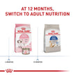 Royal Canin Indoor Long Hair Adult Dry Cat Food, 6 lb bag 🍁 All In One Marketplace Canada