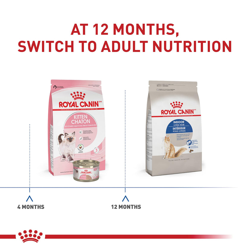 Royal Canin Indoor Long Hair Adult Dry Cat Food, 6 lb bag 🍁 All In One Marketplace Canada