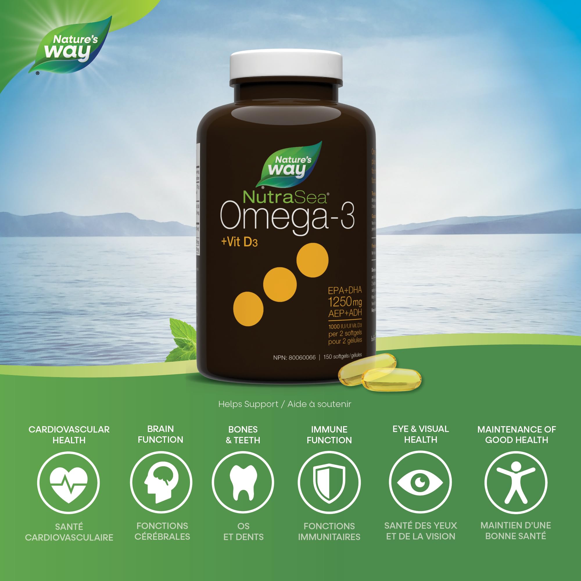 Nature's Way NutraSea +D Omega 3 + Vitamin D Softgels Supplement with Fish Oil – Fresh Mint Flavour – Heart, Brain, Bone & Immune Support for Adults and Kids 6+ – EPA & DHA + 1000IU D3, 150 Softgels 🍁 All In One Marketplace Canada