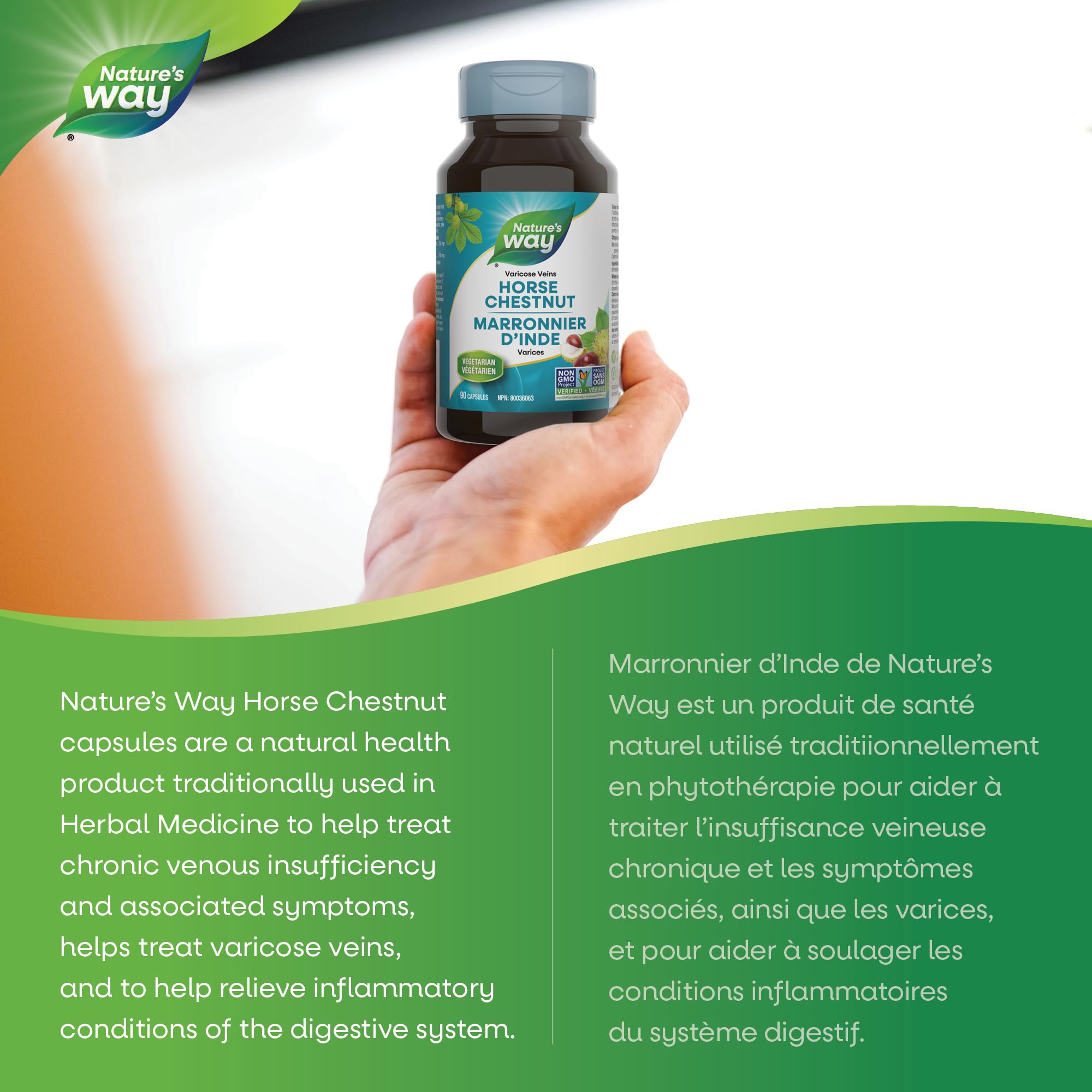 Nature's Way Horse Chestnut Supplement – Helps Treat Varicose Veins and Associated Symptoms – Digestive System Inflammation Relief – 100mg Calendula, 250mg Horse Chestnut – 90 Vegetarian Capsules 🍁 All In One Marketplace Canada