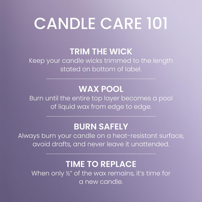 Yankee Candle 3 Wick Candle Jar, Scented Candle with up to 40 Hours of Burn Time, Premium Plant Wax Blend for Consistent Long Lasting Scent from First to Last Burn, Dried Lavender & Oak 🍁 All In One Marketplace Canada