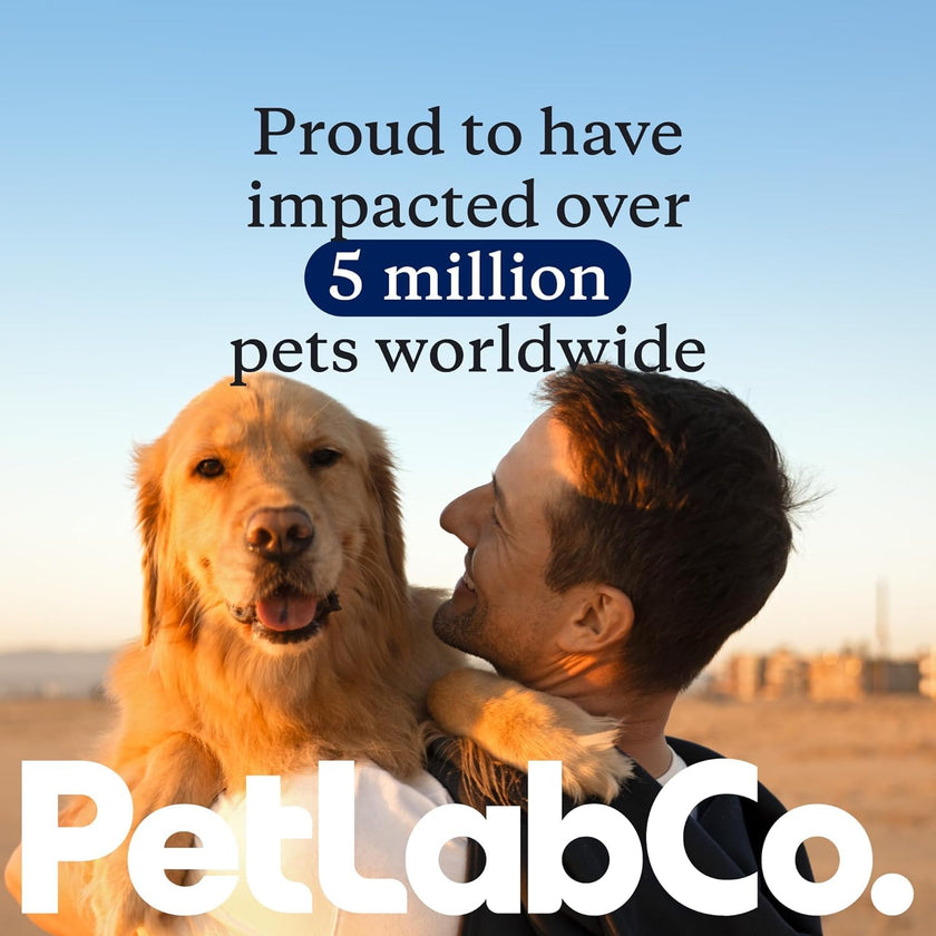 Petlab Co. Joint Care Chews, High Levels of Glucosamine for Dogs, Green Lipped Mussels, Omega 3 and Turmeric, Dog Hip and Joint Supplement to Actively Support Mobility, Packaging May Vary 🍁 All In One Marketplace Canada