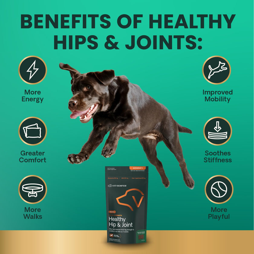 VETRISCIENCE Glycoflex Clinically Proven Hip and Joint Supplement with Glucosamine for Dogs, Chicken, 60 Chews - Vet Recommended Mobility Support Supplement with DMG, MSM, and Perna 🍁 All In One Marketplace Canada
