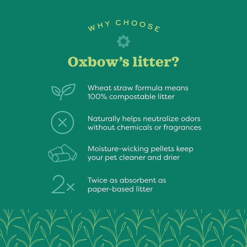 Oxbow Bene Terra Eco-Straw 20-Pound 🍁 All In One Marketplace Canada