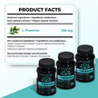 Nutratology® L-Theanine 250MG Capsules | Canadian-Made | For Stress Management | Promotes Relaxation & Calmness Without Drowsiness - L-Theanine Supplement for Stress Relief | 120 Capsules 🍁 All In One Marketplace Canada