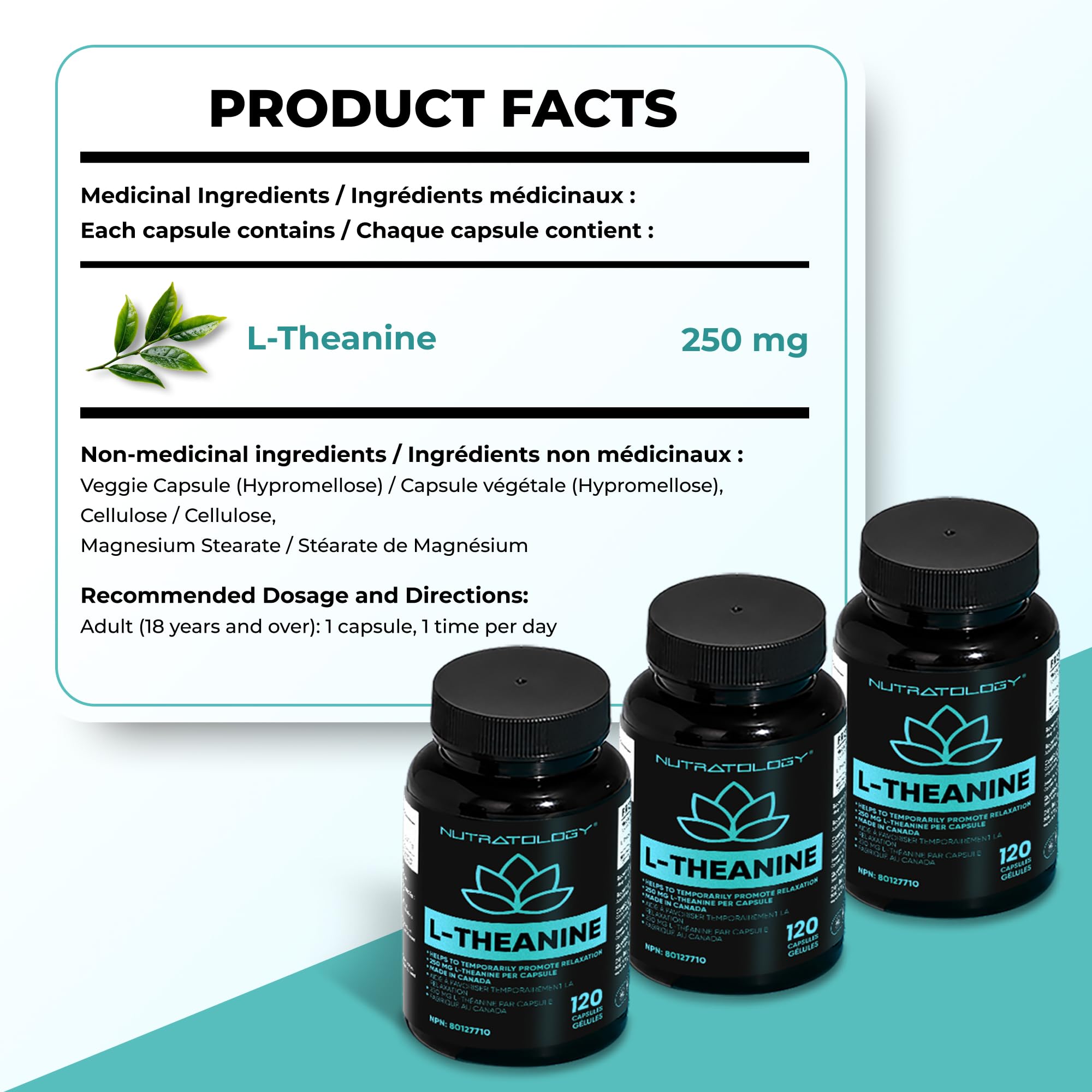 Nutratology® L-Theanine 250MG Capsules | Canadian-Made | For Stress Management | Promotes Relaxation & Calmness Without Drowsiness - L-Theanine Supplement for Stress Relief | 120 Capsules 🍁 All In One Marketplace Canada