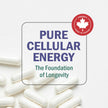 NMN Supplement 1200mg | Extra Strength | NAD+ Precursor for Healthy Aging, Cellular Energy & Longevity Support | 99% Purity | NMN Supplement Canada Made, Third-Party Tested & Vegan | 60 Capsules 🍁 All In One Marketplace Canada